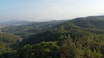 山