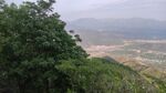 山