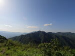 山