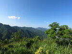 山