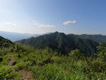 山