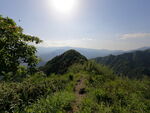 山