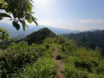 山