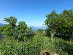 山