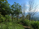 山