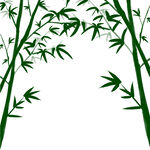 绿色植物竹子元素
