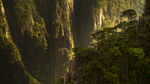 黄山  