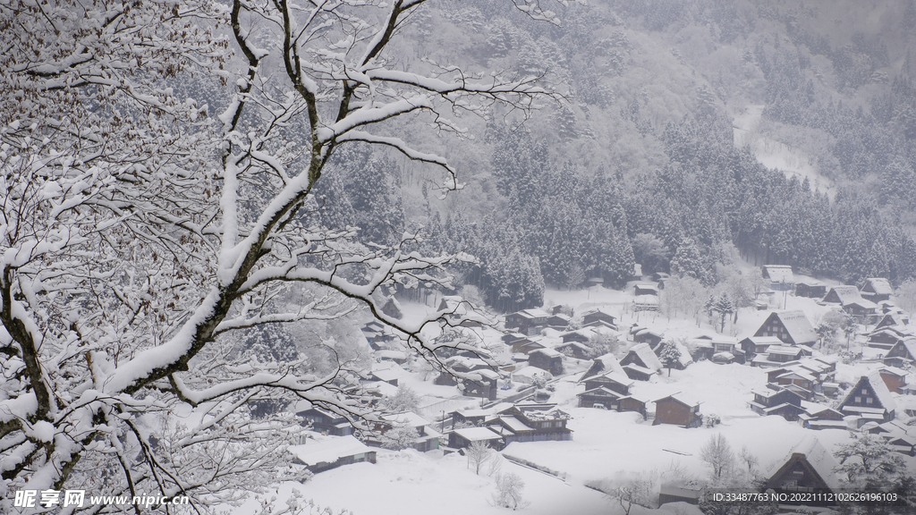 白川乡和五屹山历史村座   