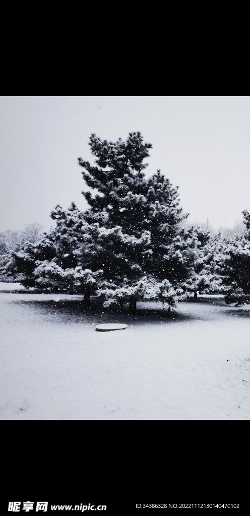 雪景