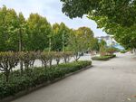 城市绿化
