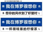 我在博罗很想你