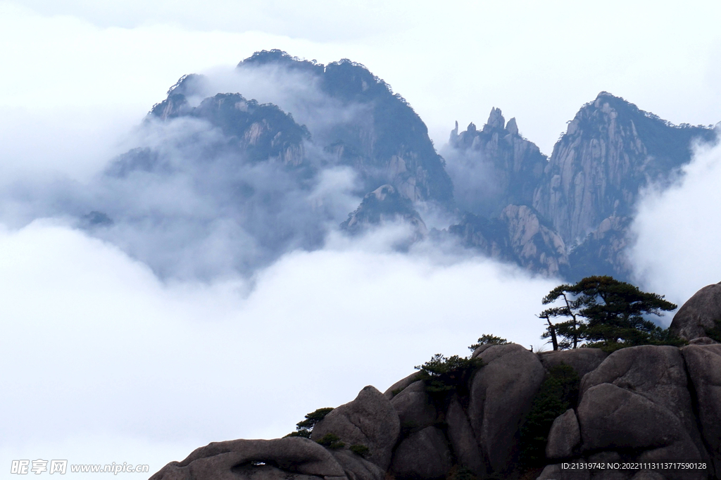 壮丽黄山云海