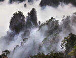 黄山秀丽风光