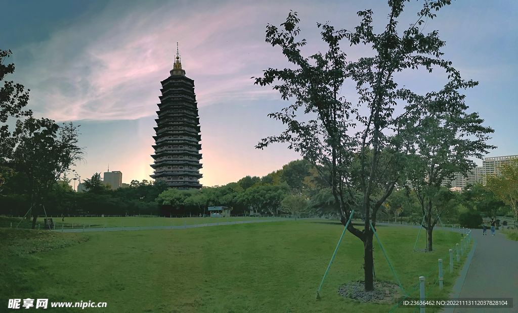 常州红梅公园 风景