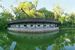 常州红梅公园 风景 