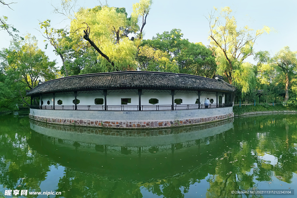 常州红梅公园 风景 