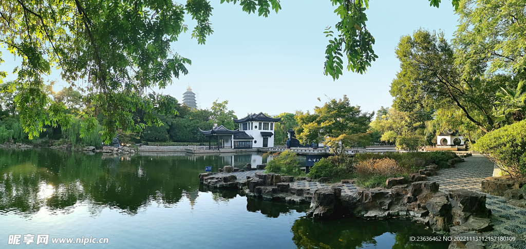 常州红梅公园 风景 