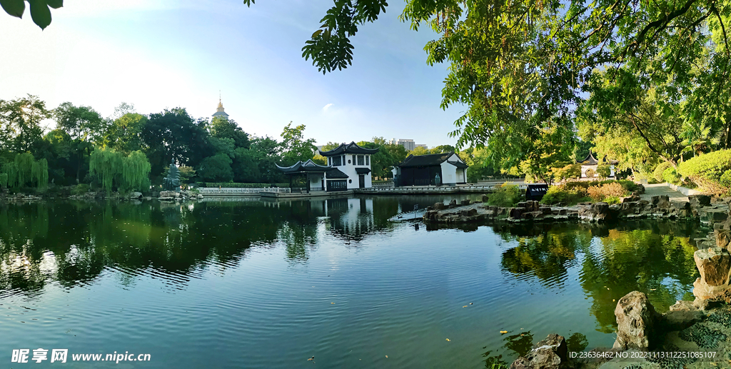 常州红梅公园风景