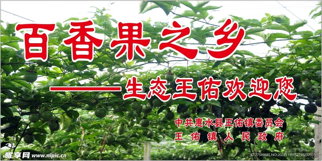 百香果之乡