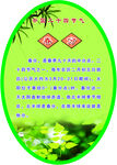 春分 传统节日 校园文化 节气