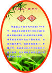 寒露 传统节日 校园文化 节气