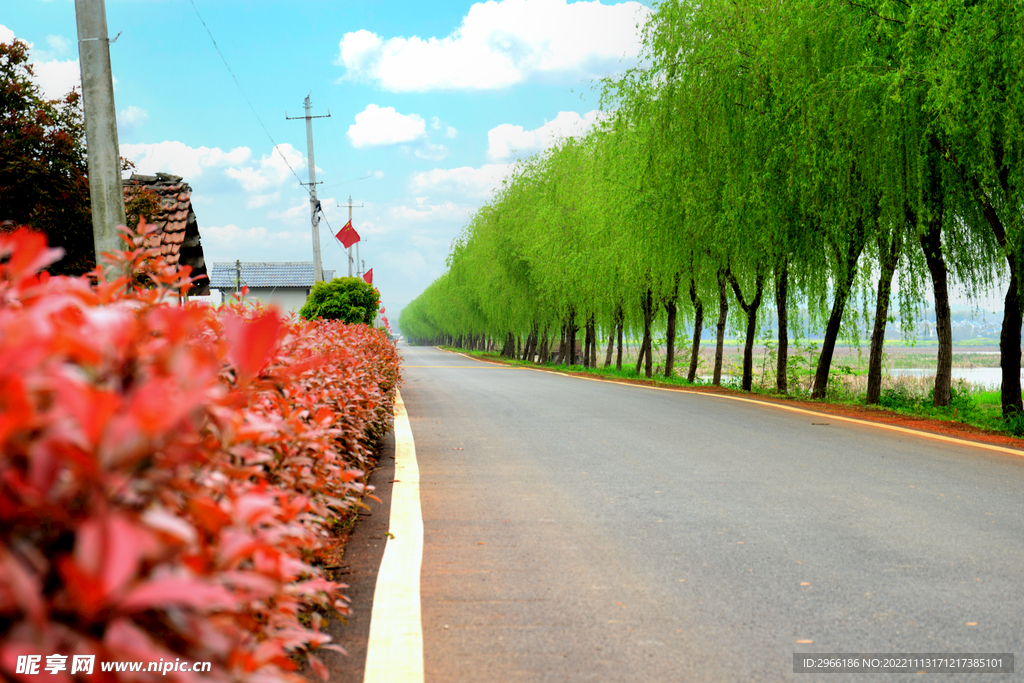 农村 公路