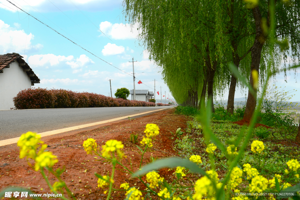 农村 公路