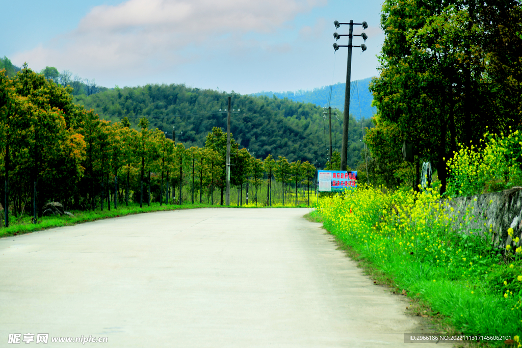 乡村公路