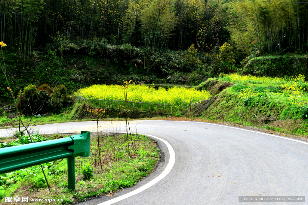 农村公路