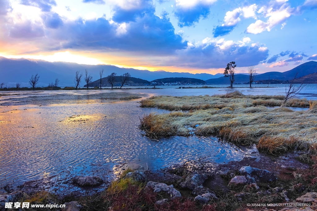 海边湿地