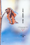 大雪海报