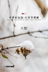 大雪海报