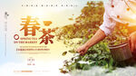 春茶海报