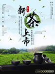 春茶海报