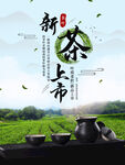 新茶上市海报
