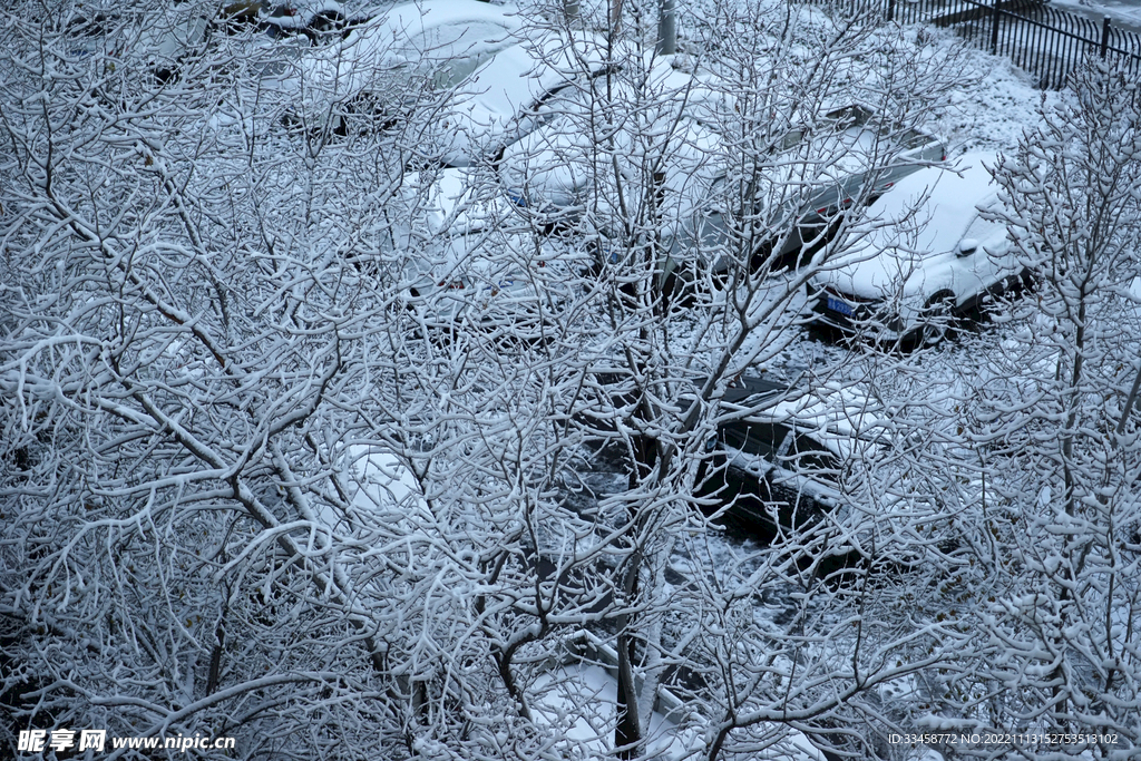 雪景