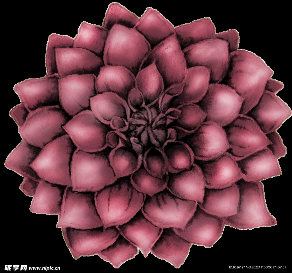 手绘花卉