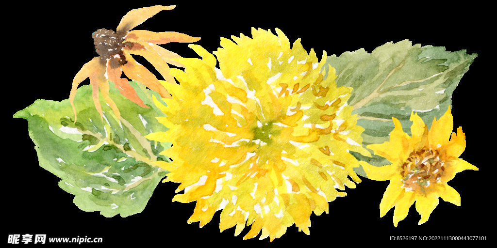 手绘花卉