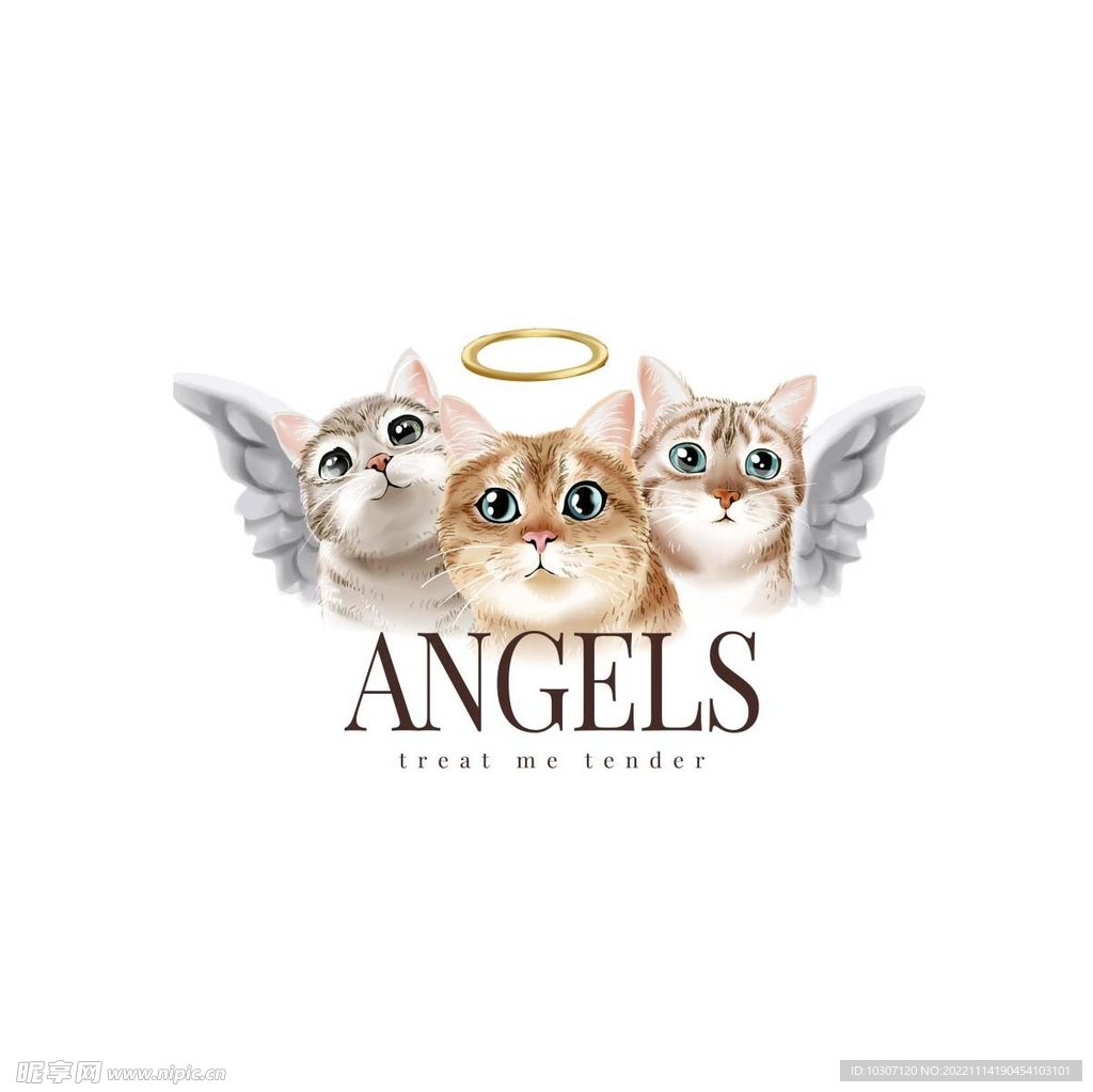 天使猫