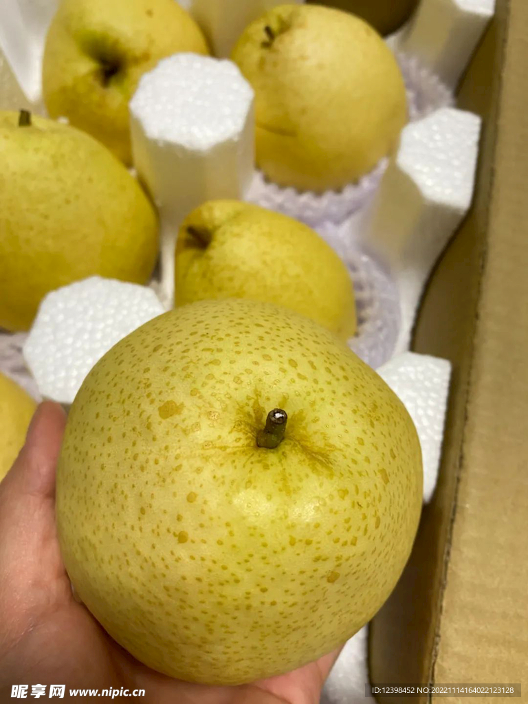 梨子