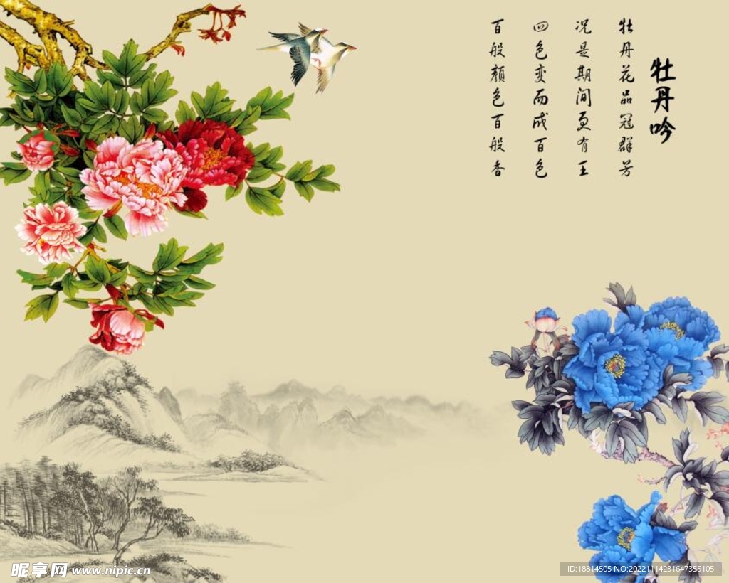 牡丹花