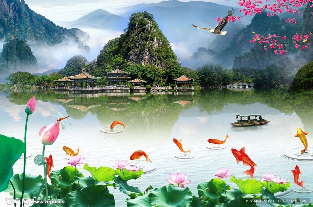 锦鲤