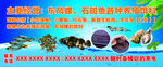 海鲜东风螺石斑鱼
