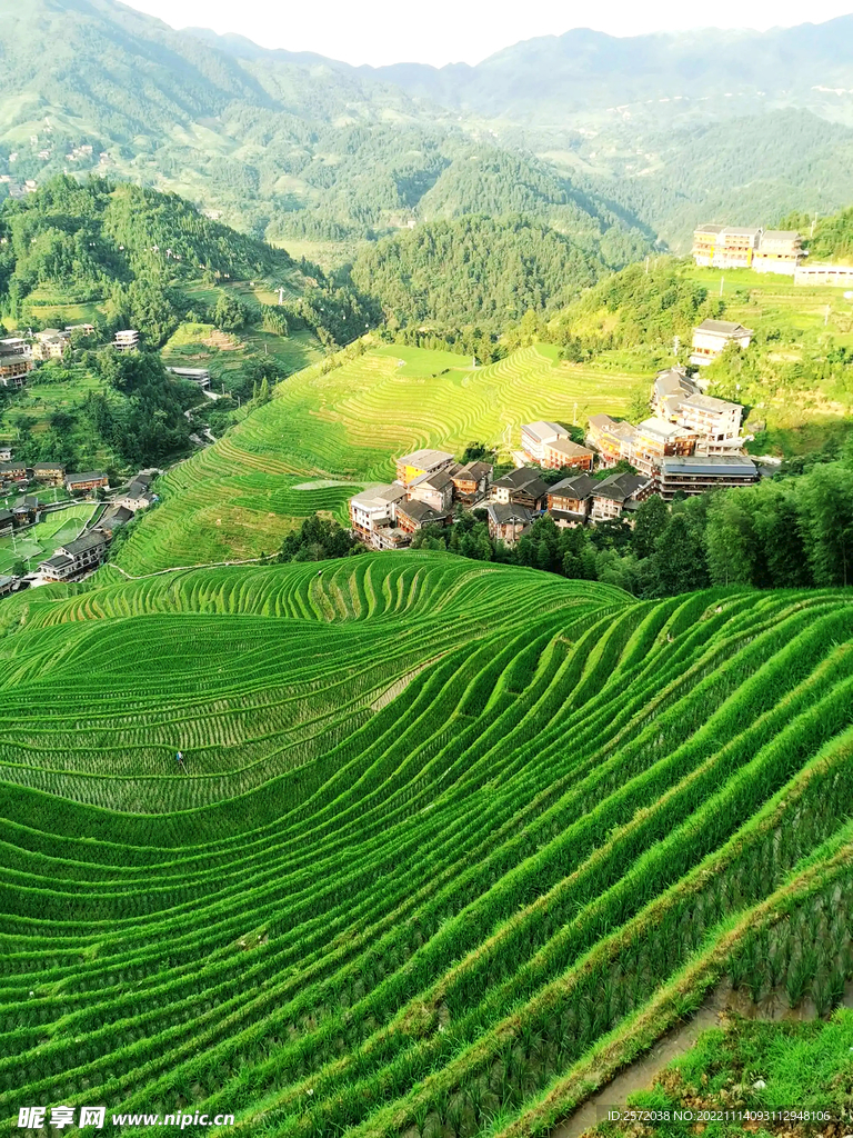 龙胜龙脊梯田风光