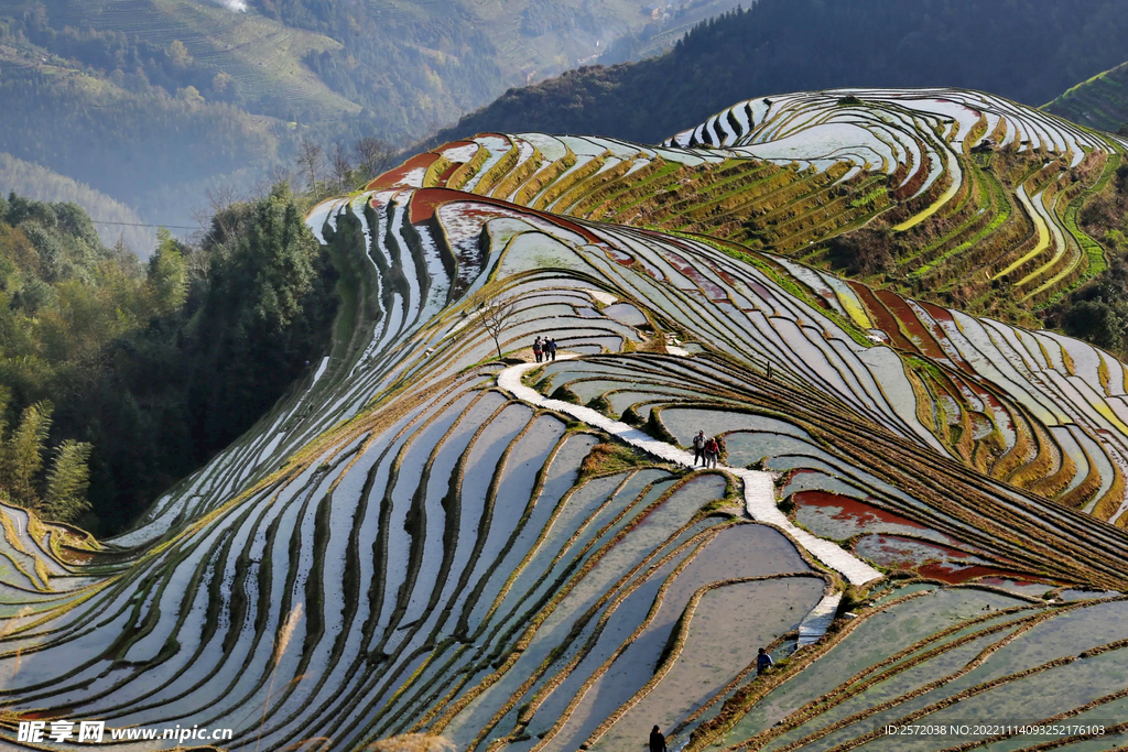 龙胜龙脊梯田风光
