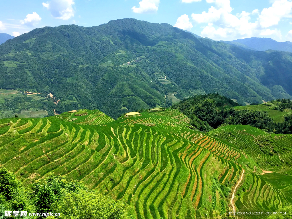 龙胜龙脊梯田风光