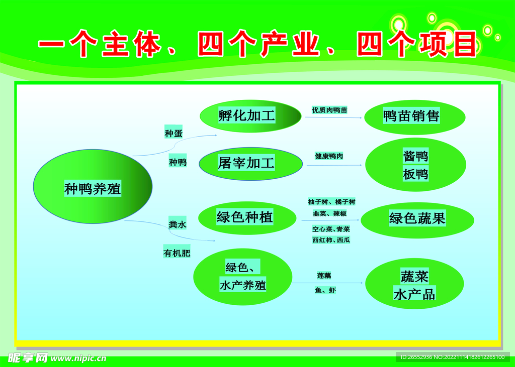 种鸭养殖图