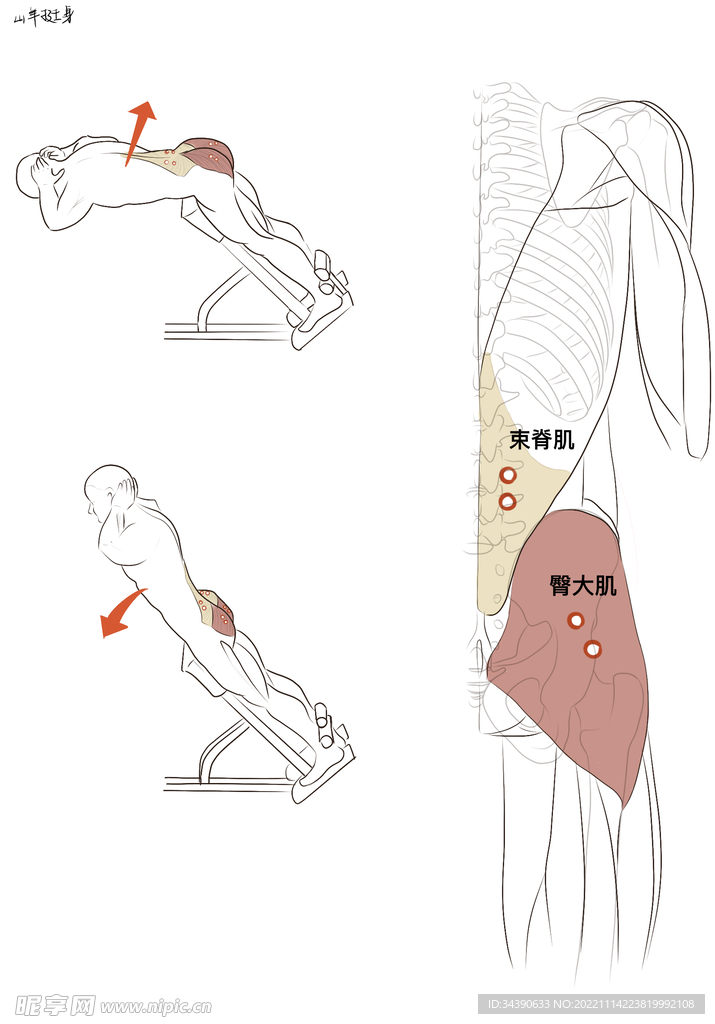 山羊挺身