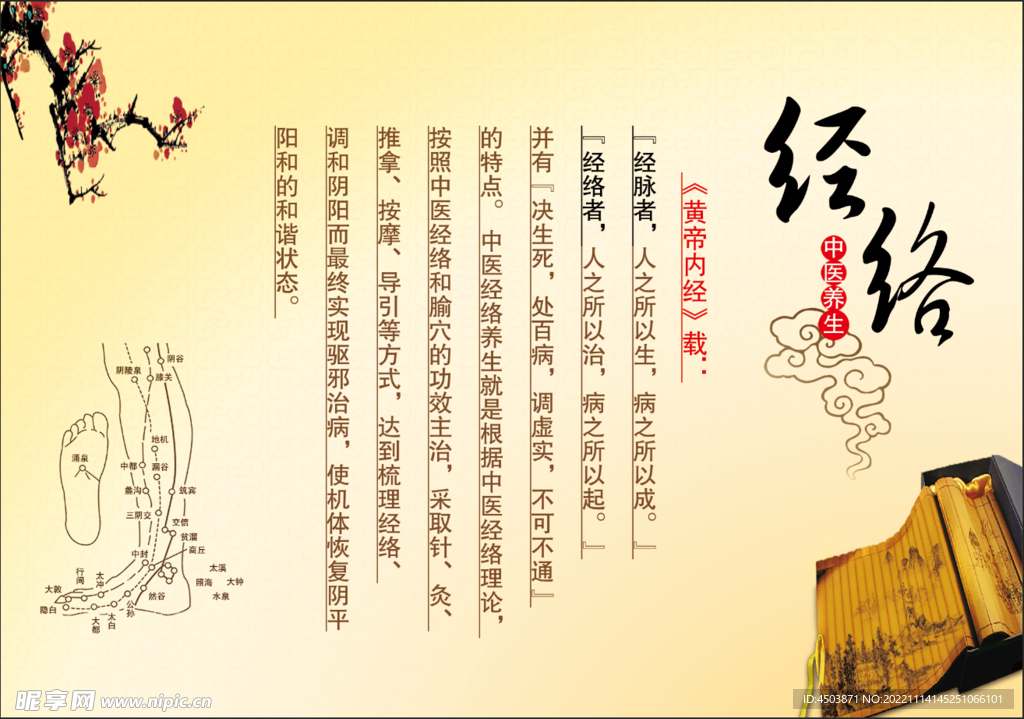 经络养生展板