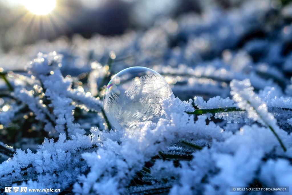 雪中泡泡